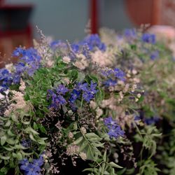 ホテル雅叙園東京の写真20枚目