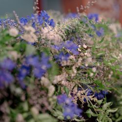 ホテル雅叙園東京の写真35枚目