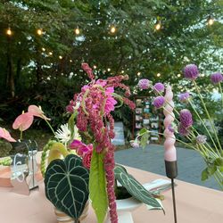 SAYS FARMの写真10枚目