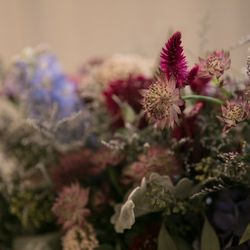 SOLA KOBEの写真24枚目