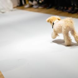 TRUNK BY SHOTO GALLERYの写真18枚目