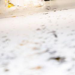 TRUNK BY SHOTO GALLERYの写真34枚目