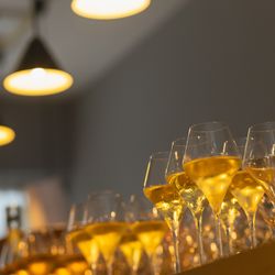 エネコ東京の写真15枚目