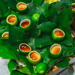 エネコ東京の写真23枚目