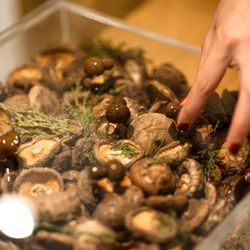 エネコ東京の写真26枚目