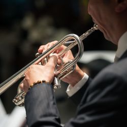 エネコ東京の写真5枚目