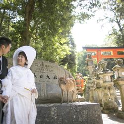 春日大社の写真3枚目