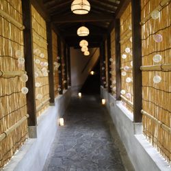 春日大社の写真4枚目