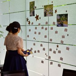 春日大社の写真7枚目