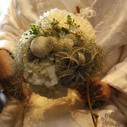 春日大社の写真7枚目