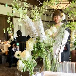 春日大社の写真3枚目