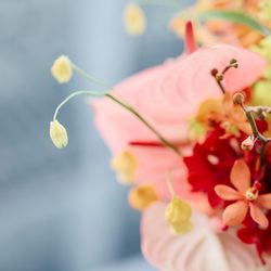 SOLA KOBEの写真24枚目