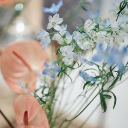 SOLA KOBEの写真5枚目