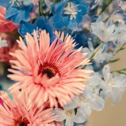 The Place of Tokyoの写真5枚目