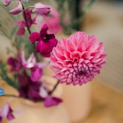 The Place of Tokyoの写真30枚目