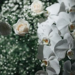 グランド ハイアット 東京の写真7枚目