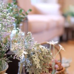 アールベルアンジェチャペル嵯峨野の写真24枚目