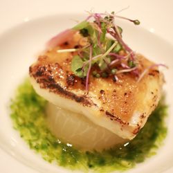 The Place of Tokyoの写真27枚目