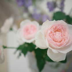 アニヴェルセル 江坂の写真11枚目