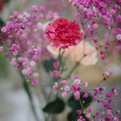 アニヴェルセル 江坂の写真31枚目