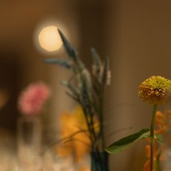 TOASTの写真36枚目