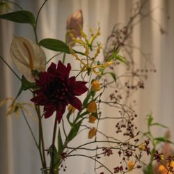 TOASTの写真10枚目