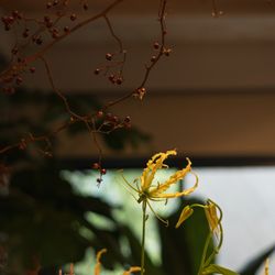 TOASTの写真29枚目