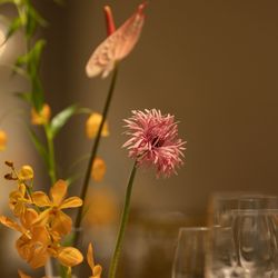 TOASTの写真28枚目