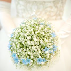 ザ・ミーツ マリーナテラスの写真18枚目