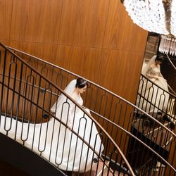 東京會舘の写真35枚目