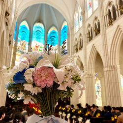 カサ・デ・アンジェラの写真18枚目