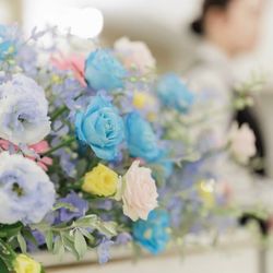 カサ・デ・アンジェラの写真25枚目