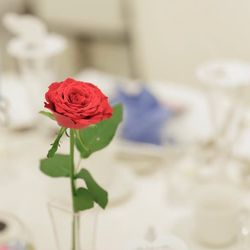 カサ・デ・アンジェラの写真16枚目