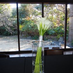 MAYAの写真14枚目