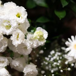 ウェディングスホテル・ベルクラシック東京の写真32枚目