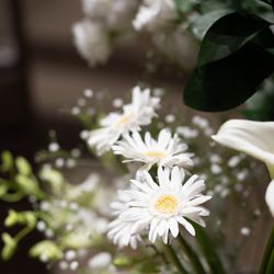 ウェディングスホテル・ベルクラシック東京の写真21枚目