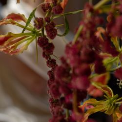 アンダーズ東京の写真18枚目