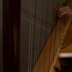 アンダーズ東京の写真6枚目