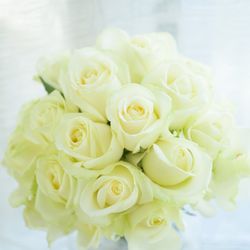 シャングリ・ラ 東京の写真25枚目