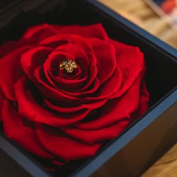 グランドニッコー東京 台場の写真9枚目