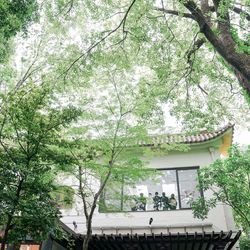 ザ ナンザンハウスの写真20枚目