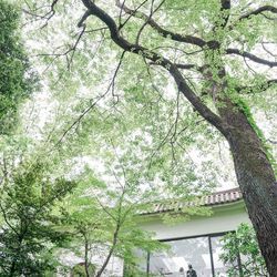 ザ ナンザンハウスの写真34枚目