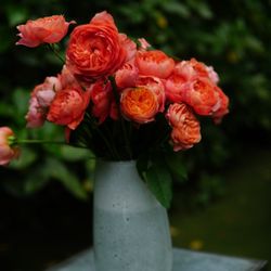 ザ ナンザンハウスの写真6枚目