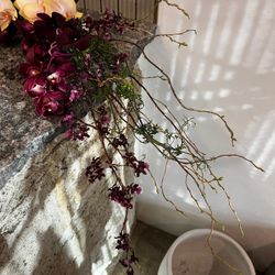 ザ ナンザンハウスの写真12枚目