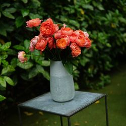 ザ ナンザンハウスの写真31枚目