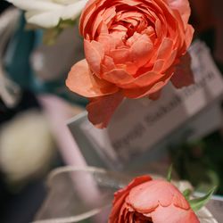 ザ ナンザンハウスの写真7枚目