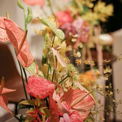 ザ ナンザンハウスの写真8枚目