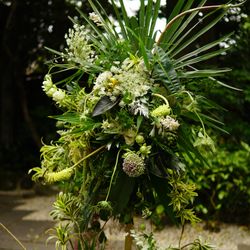 ザ ナンザンハウスの写真33枚目