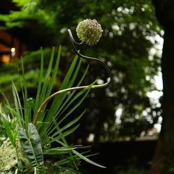 ザ ナンザンハウスの写真35枚目