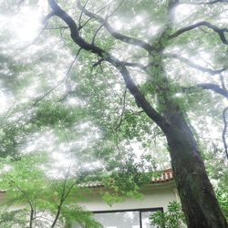 ザ ナンザンハウスの写真7枚目